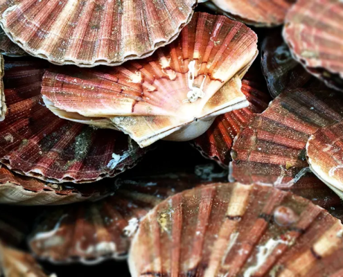 Ristorante Arianna Cavaglietto mangiare Novara menu alla carta giugno 2025