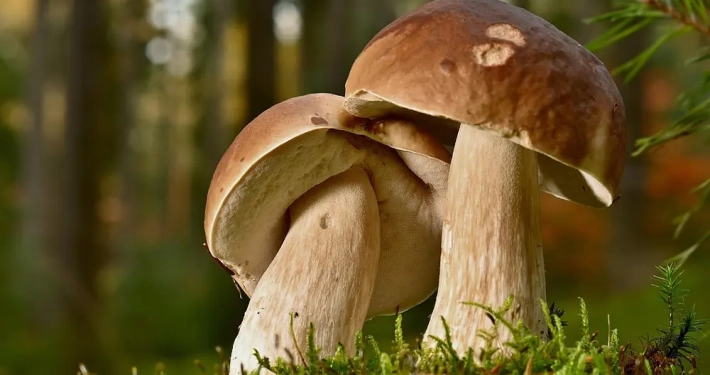 Ristorante Arianna Cavaglietto mangiare Novara menù degustazione da settembre 2025