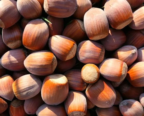 Ristorante Arianna Cavaglietto mangiare Novara carta dei dessert settembre 2025