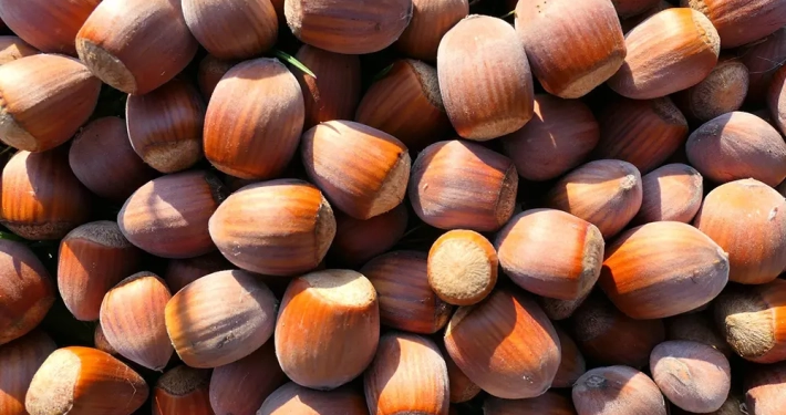 Ristorante Arianna Cavaglietto mangiare Novara carta dei dessert settembre 2025