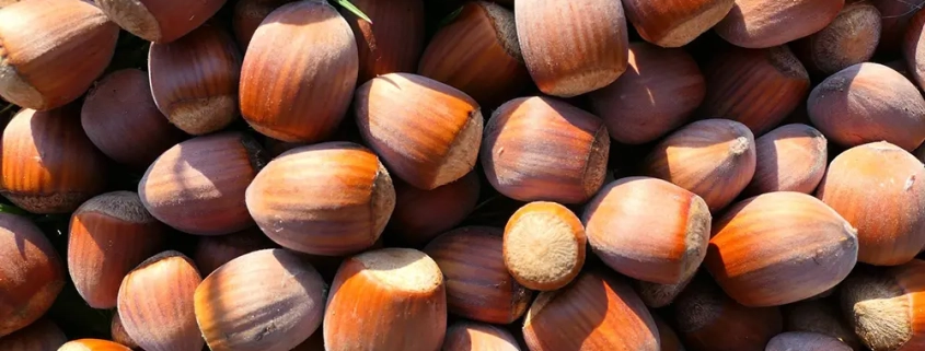 Ristorante Arianna Cavaglietto mangiare Novara carta dei dessert settembre 2025